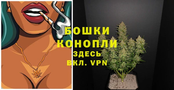 мяу мяу мука Аша