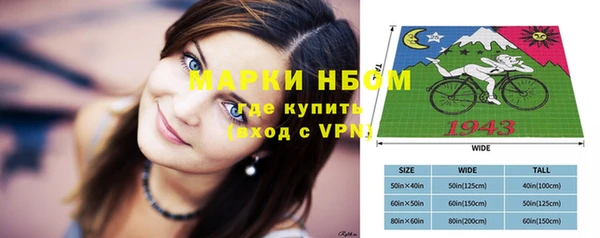 мет Алексин