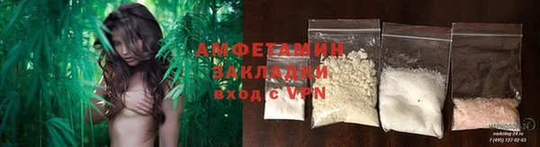 мет Алексин