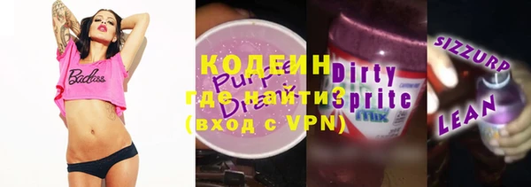 мет Алексин