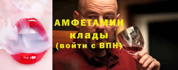 мет Алексин