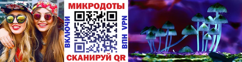 Галлюциногенные грибы Psilocybine cubensis  Дзержинский 